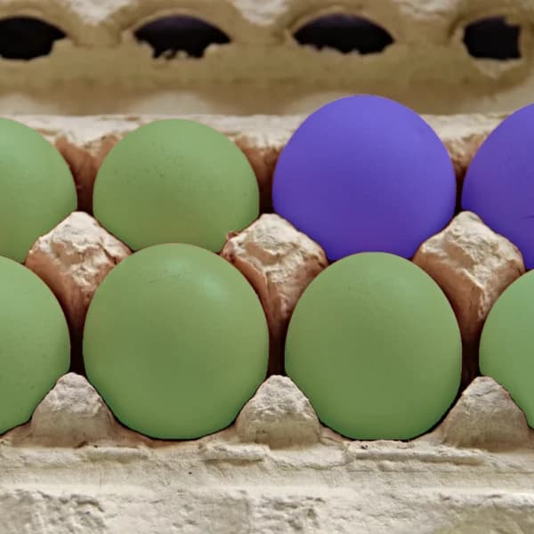 Instanzsegmentierung