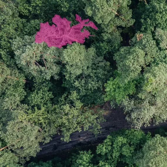 Drone Flight Controls