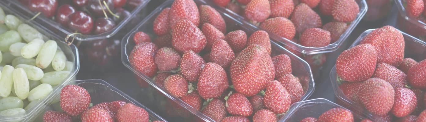 Lebensmittelindustrie