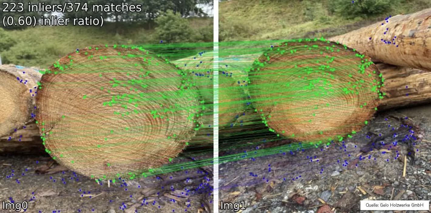 Identification of the same tree trunk after storage