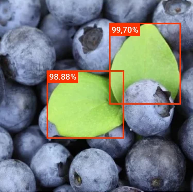 Fremdpartikel Lebensmittel